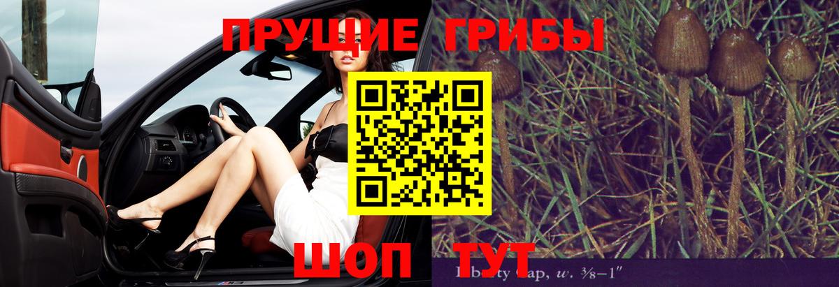 Галлюциногенные грибы MAGIC MUSHROOMS  Вход с VPN  Красноярск 